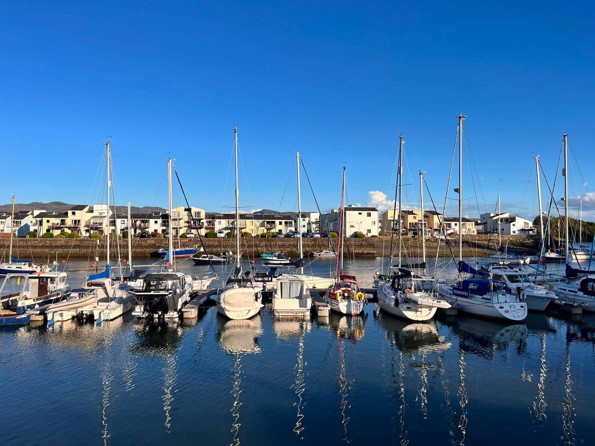 A marina with multiple boats docked, surrounded by residential buildings.