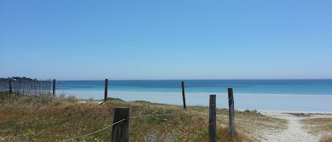 在海灘附近