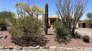 A desert landscape with cacti, a tall cactus in the center, and a building with a tiled roof in the background.