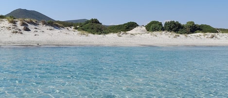 海滩