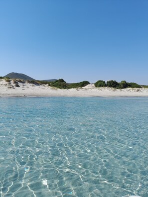 A beach with clear water, sandy shore, and green vegetation.