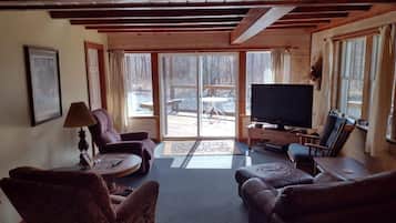 Televisión, chimenea, reproductor de DVD y libros