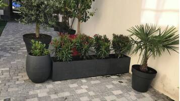 Terrein van de accommodatie