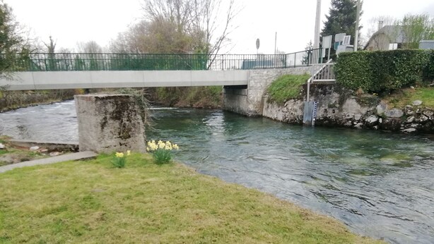 A river with a bridge, a grassy bank, and daffodils.