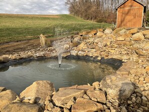 Property grounds - Cozy Studio with Unique Charm in Private Setting (South Park)