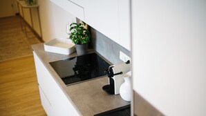 Een moderne keuken met een zwart inductiekookplaatje, een wit spoelgedeelte en een kleine potplant.