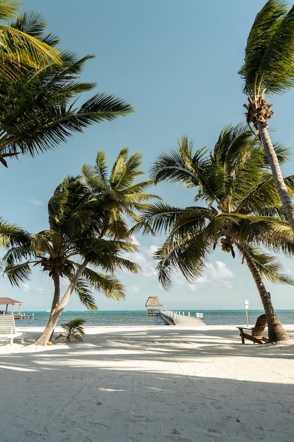 Aan het strand, ligstoelen aan het strand, strandlakens