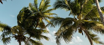 10% OFF ON STAYS OF 7 NIGHTS OR MORE ! AMAZING BEACHFRONT PROPERTY..