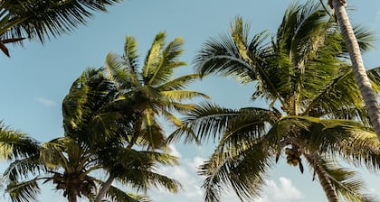 10% OFF ON STAYS OF 7 NIGHTS OR MORE ! AMAZING BEACHFRONT PROPERTY..