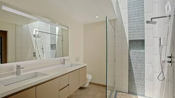 Combined shower/bathtub, jetted bath, hair dryer, towels