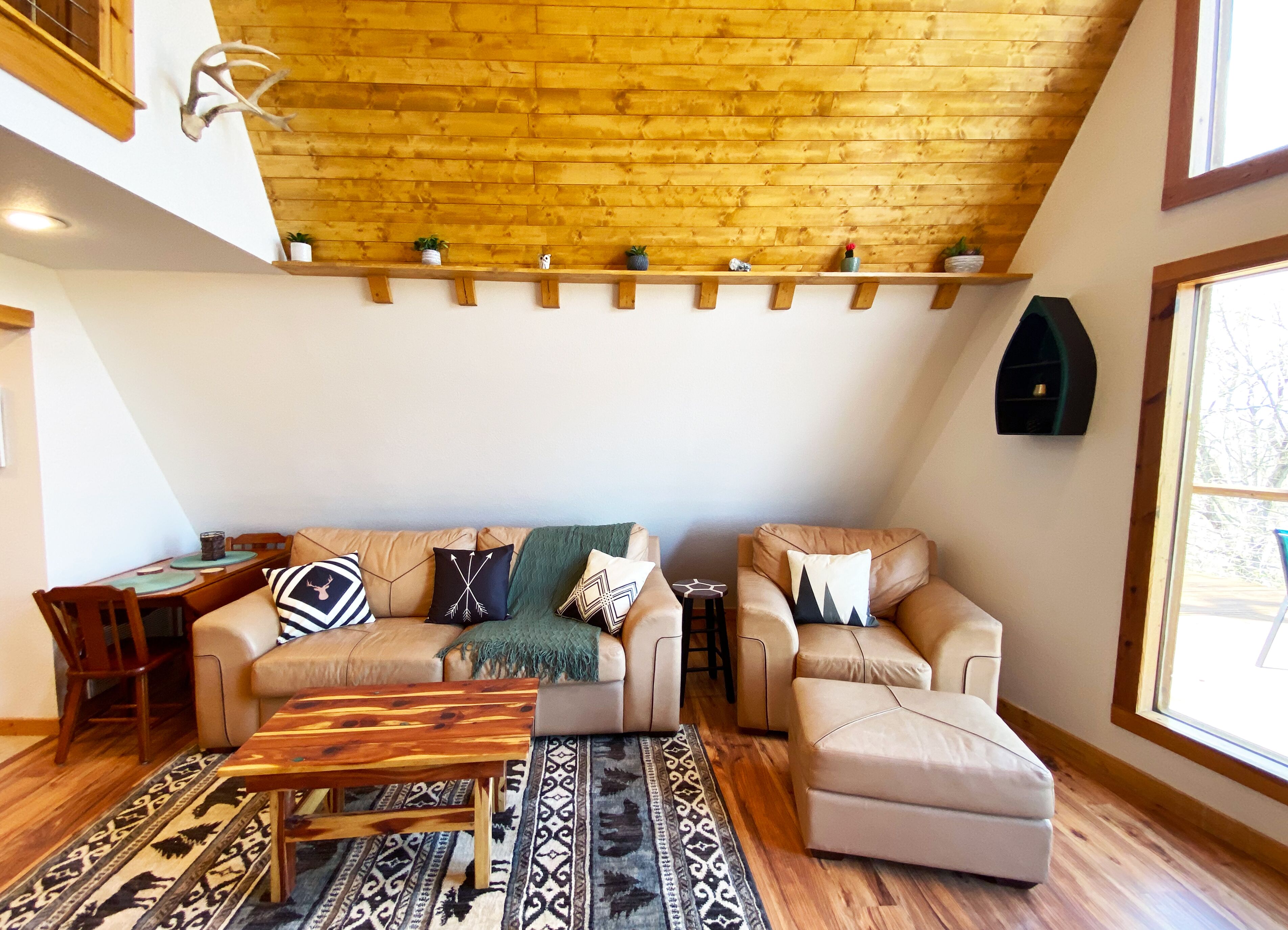 Smart TV, fireplace, DVD player, books