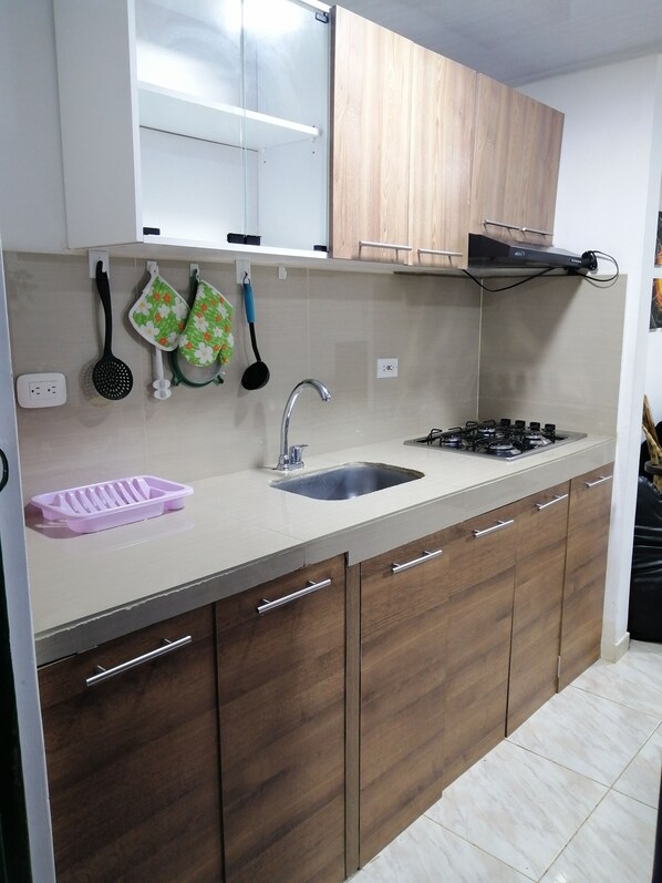 Una cocina con armarios de madera, un lavamanos de acero inoxidable, una estufa a gas y una encimera con bandeja para hielo rosa.