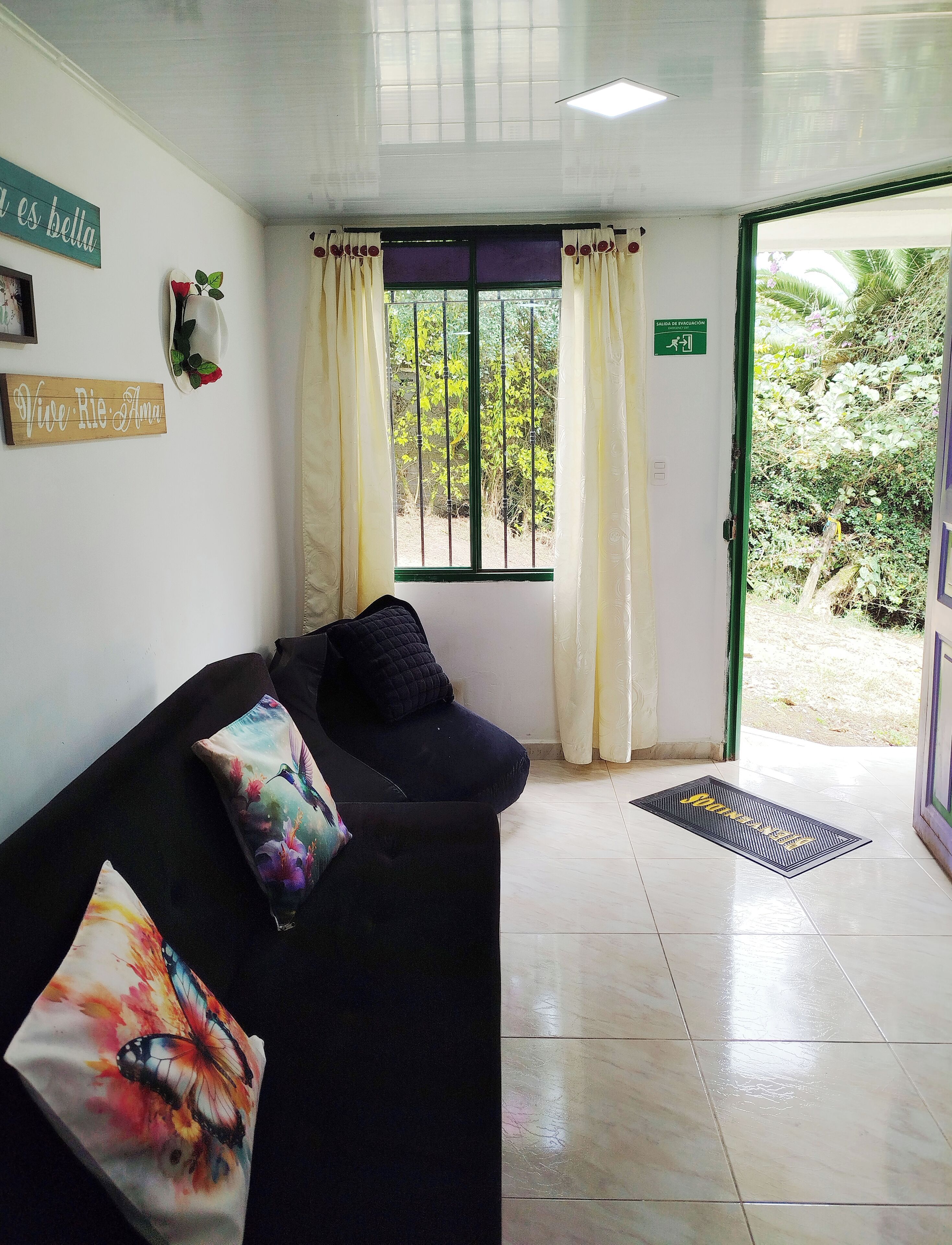 Télévision, livres