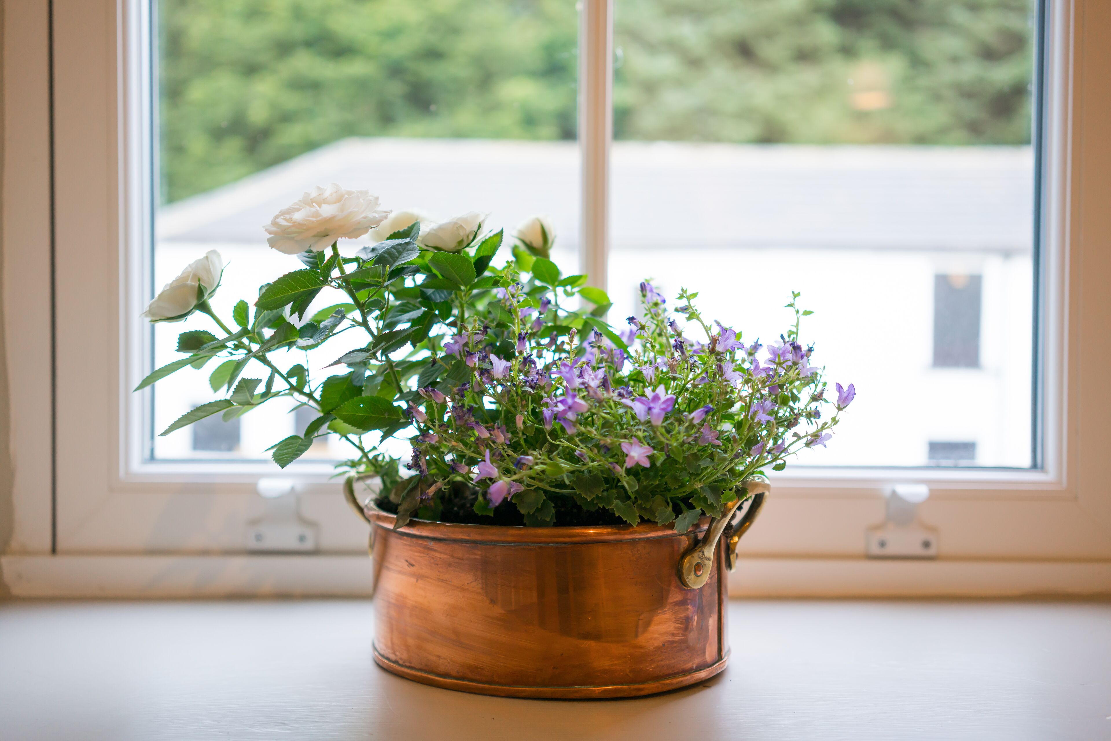 classic room | 1 bedroom, free wifi, bed sheets