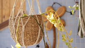 Una cistella penjada de macramè amb una planta, subjecta a un sostre de fusta, amb una paret de rajoles blava al fons.