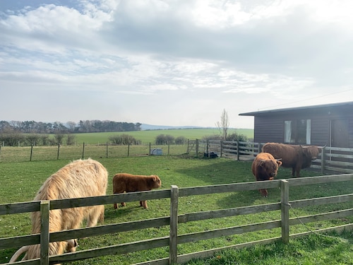 Orchard House Lodges