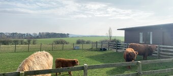 Orchard House Lodges