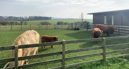 Orchard House Lodges