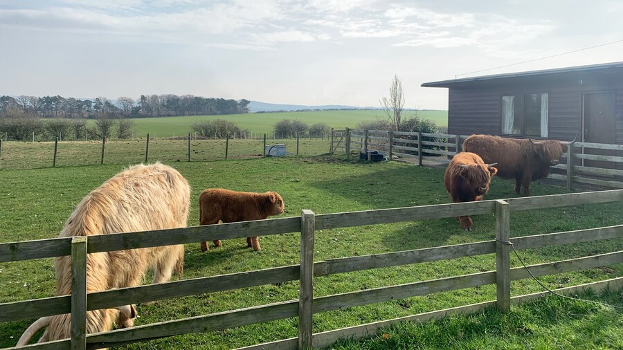 Orchard House Lodges