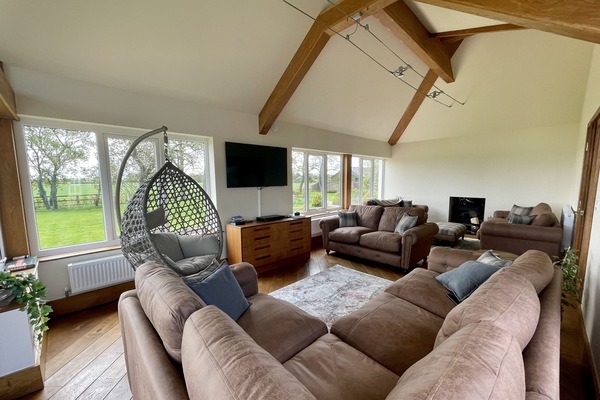 Smart TV, chimenea, reproductor de DVD, libros