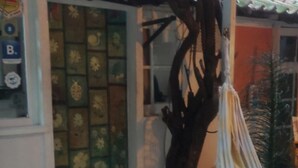 Una hamaca colgada frente a una casa con una puerta decorativa y un tronco de árbol.