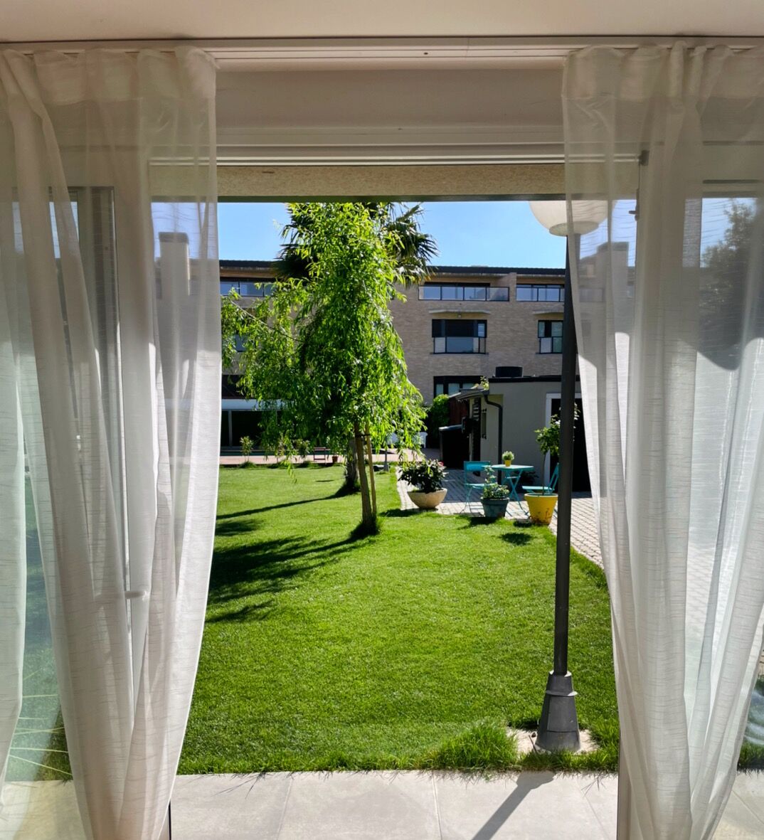 A view through sheer curtains of a courtyard with a lawn, a tree, and a building in the background.