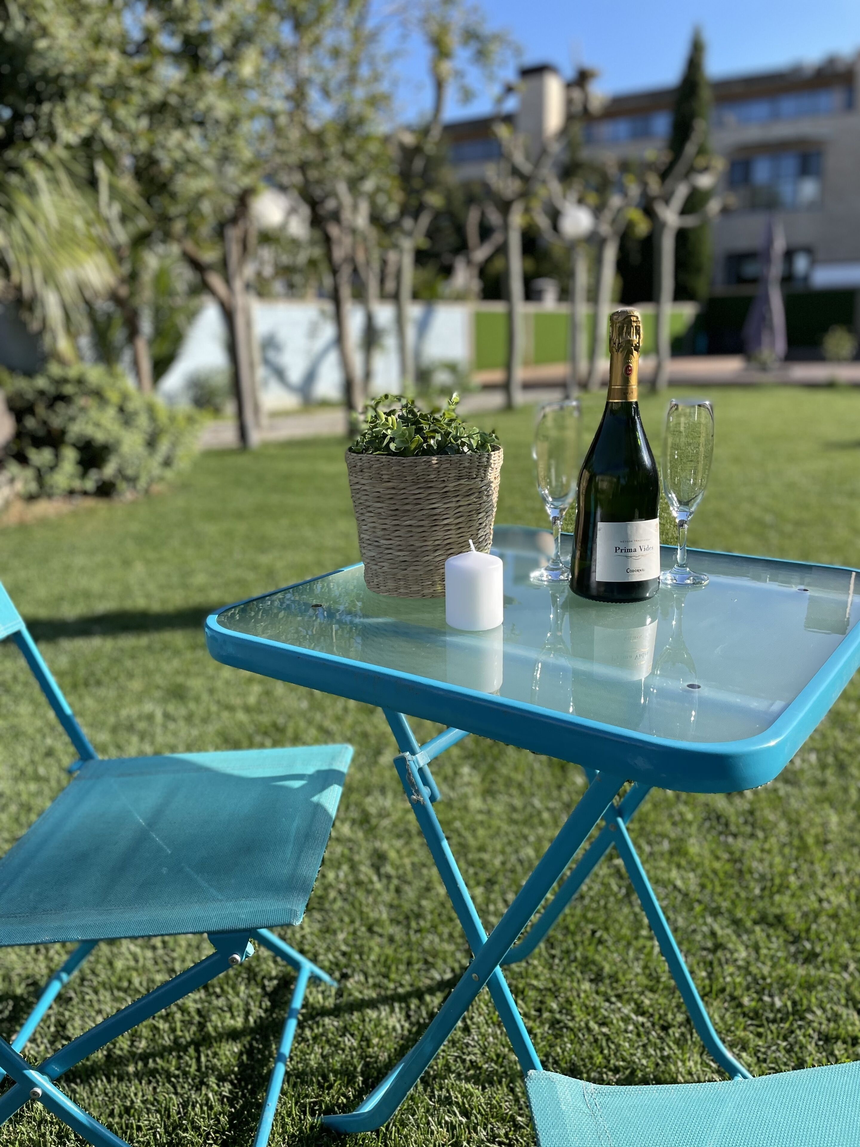 Une table en verre sur laquelle se trouvent une bouteille de champagne, un verre et une petite plante en pot, le tout posé sur une pelouse.