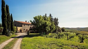A stone building with a red-tiled roof, a dirt path leading to it, and a vineyard in the foreground. - For groups, in the heart of Tuscany 40 km from Pisa airport (Chianni)