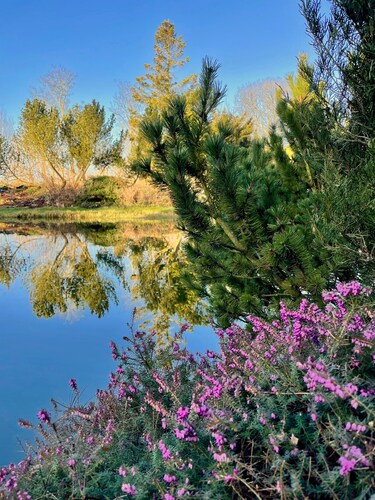 Ferienwohnung an der Nordsee - naturnah, erholsam - einfach schön♥️