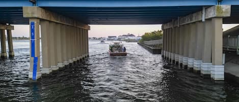 A boat named "Miss Caroline II" under a bridge with water on both sides.