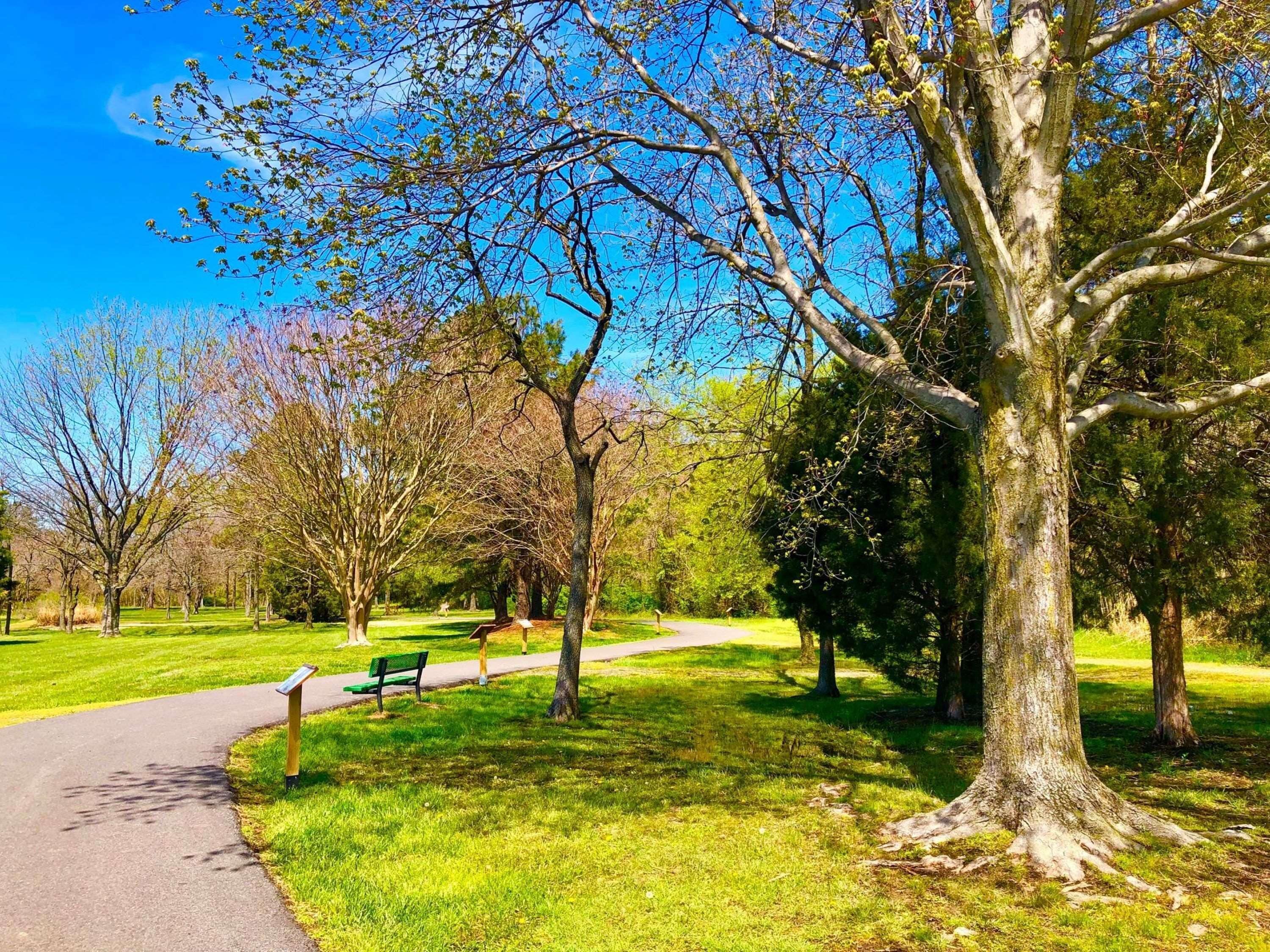 A park with a paved path, benches, and trees.