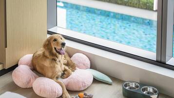 1 King Bed Dog | View from room