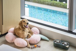 1 King Bed Dog | View from room - Hyatt Place New Taipei City Xinzhuang (New Taipei City)
