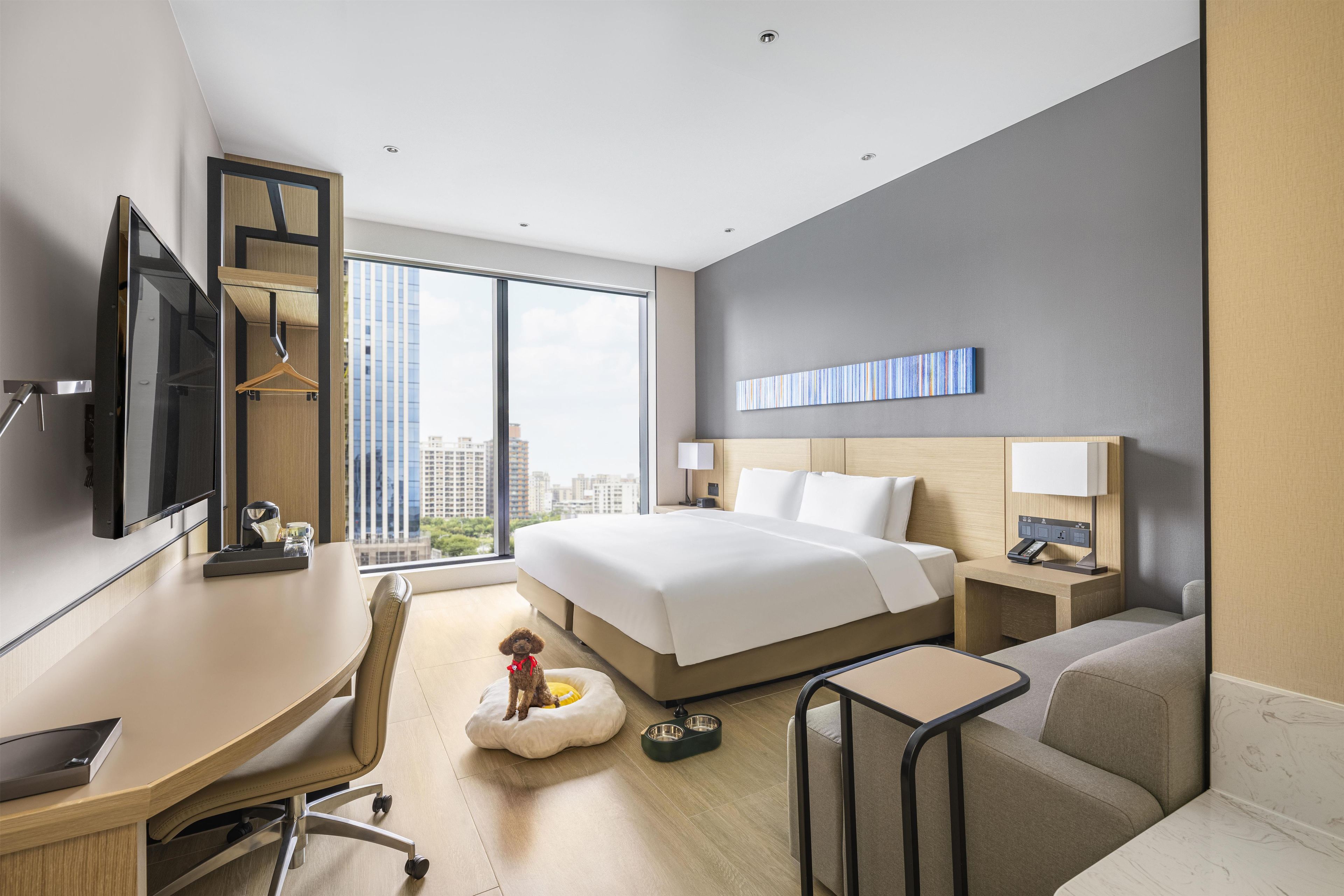 A modern hotel room with a large bed, a desk, a chair, a small dog bed, a sofa, a TV, and a city view.