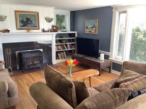 TV, DVD player, books