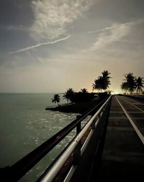 A coastal walkway with a railing, palm trees, and the sea in the background. - Catch n' Relax Anglers Ultimate Waterfront Retreat with 50’ Dock Modern New Home (Marathon)