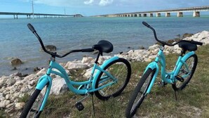 A turquoise bicycle parked by a rocky shore with a bridge in the background.