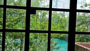 A view through a window with a grid pattern, revealing a green outdoor area with trees and a blue structure.