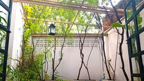 A small, enclosed garden area with potted plants and a hanging lantern.