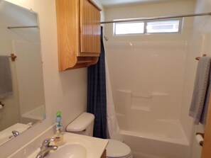 Combined shower/tub, hair dryer, towels, toilet paper - Three bedroom  in United States of America, Cloudcroft (Cloudcroft)