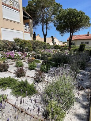 Stroll through the beautifully maintained garden, featuring a variety of plants and a paved walkway.