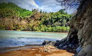 A coastal landscape with clear water, rocky shore, and dense greenery. - Paradise Found! Character filled close to beach, forest and amenities (Puntarenas Province)