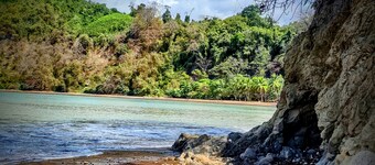 Paradise Found! Character filled close to beach, forest and amenities