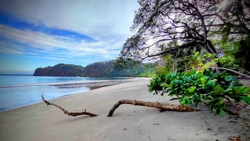 Playa en los alrededores, camastros y toallas de playa