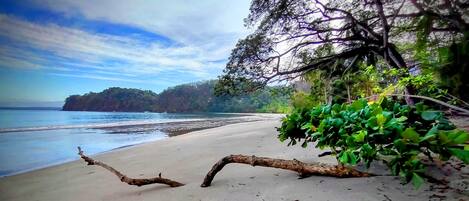 Playa en los alrededores, camastros y toallas de playa