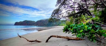 Paradise Found! Character filled close to beach, forest and amenities