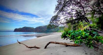 Paradise Found! Character filled close to beach, forest and amenities