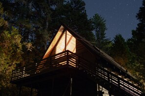 Exterior - Come enjoy nature in our cabin ! (Idyllwild-Pine Cove)