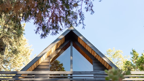A wooden cabin with a sloped roof, a hammock hanging under the porch, and a clear view of the sky. - Come enjoy nature in our cabin !  (Idyllwild-Pine Cove)