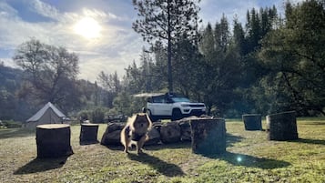 Ulkoalueet